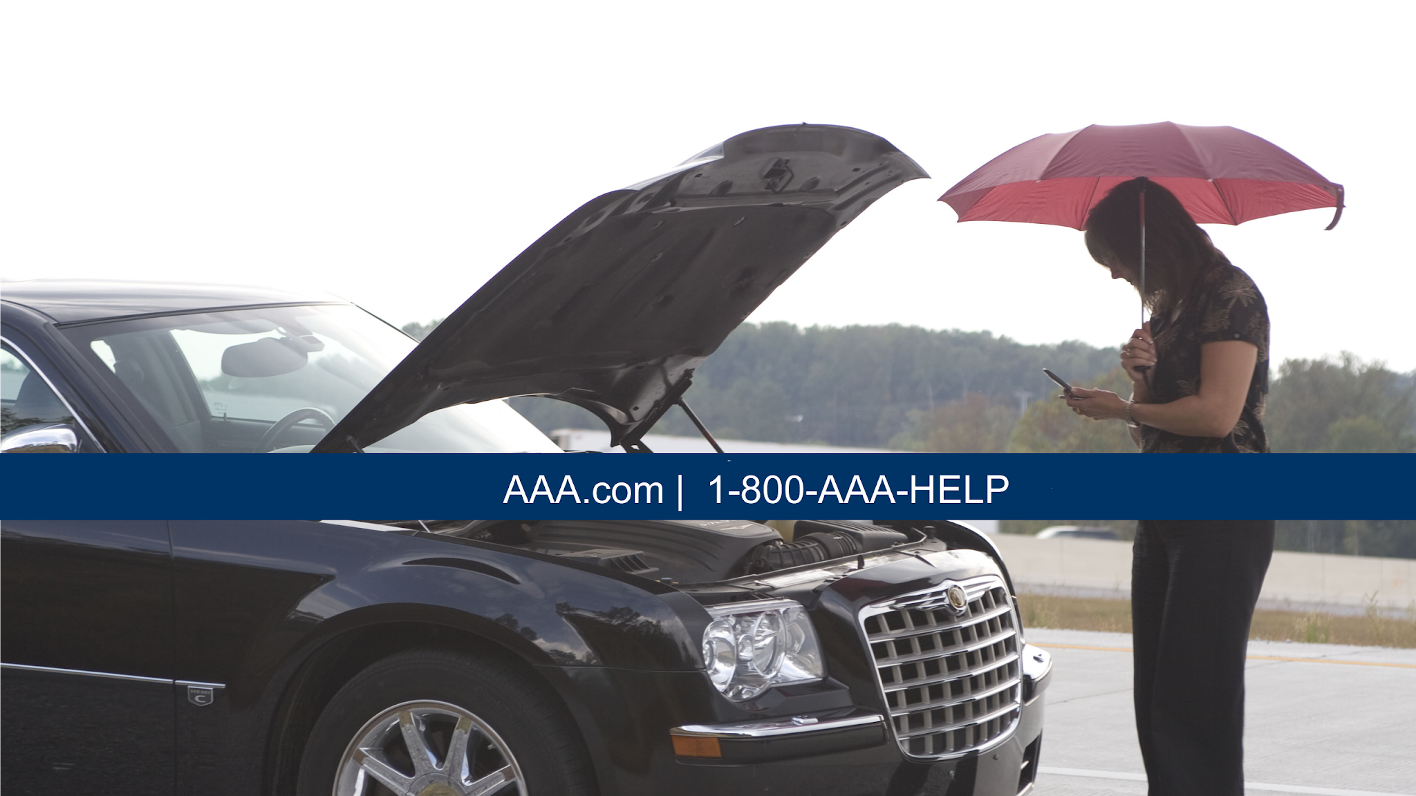 AAA Northway Insurance 1451 New York 5S