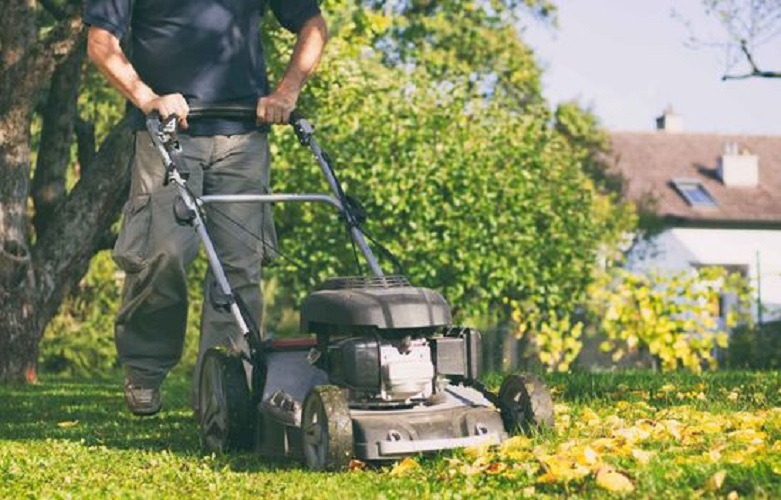 Images Premium Cut Lawns