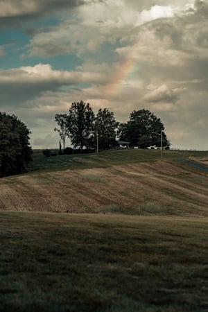 Images On Sunny Slope Farm