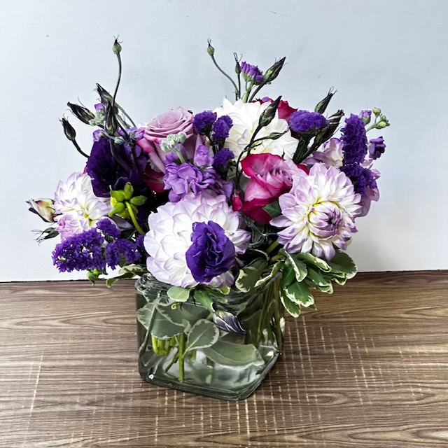Images Jane's Roses & Flowers