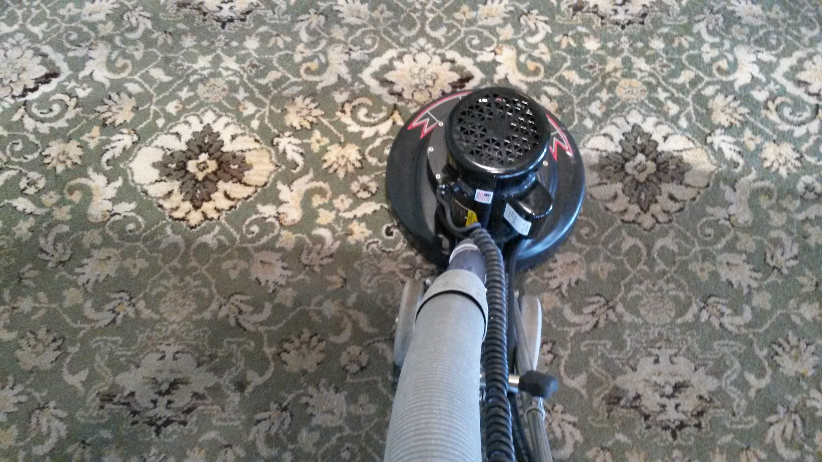 Images Santos Carpet Cleaning