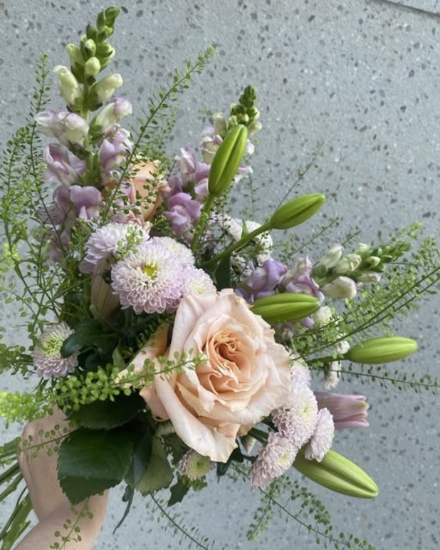 Images Jasmins Blommor