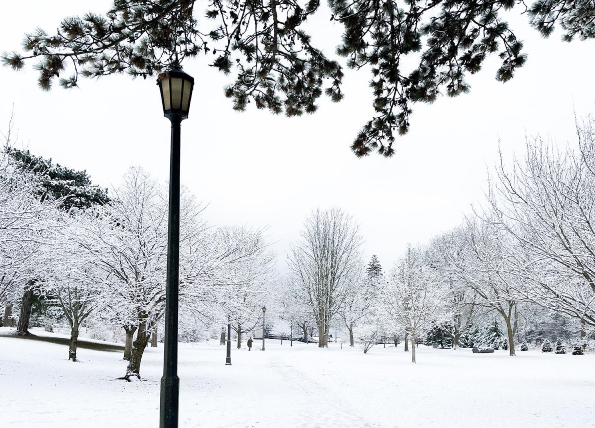 Images Holiday Inn & Suites Oakville @ Bronte by IHG