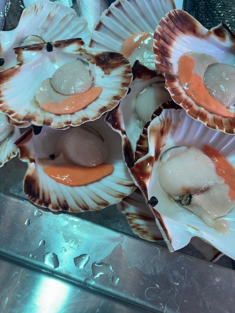 Images Pescheria da Sami