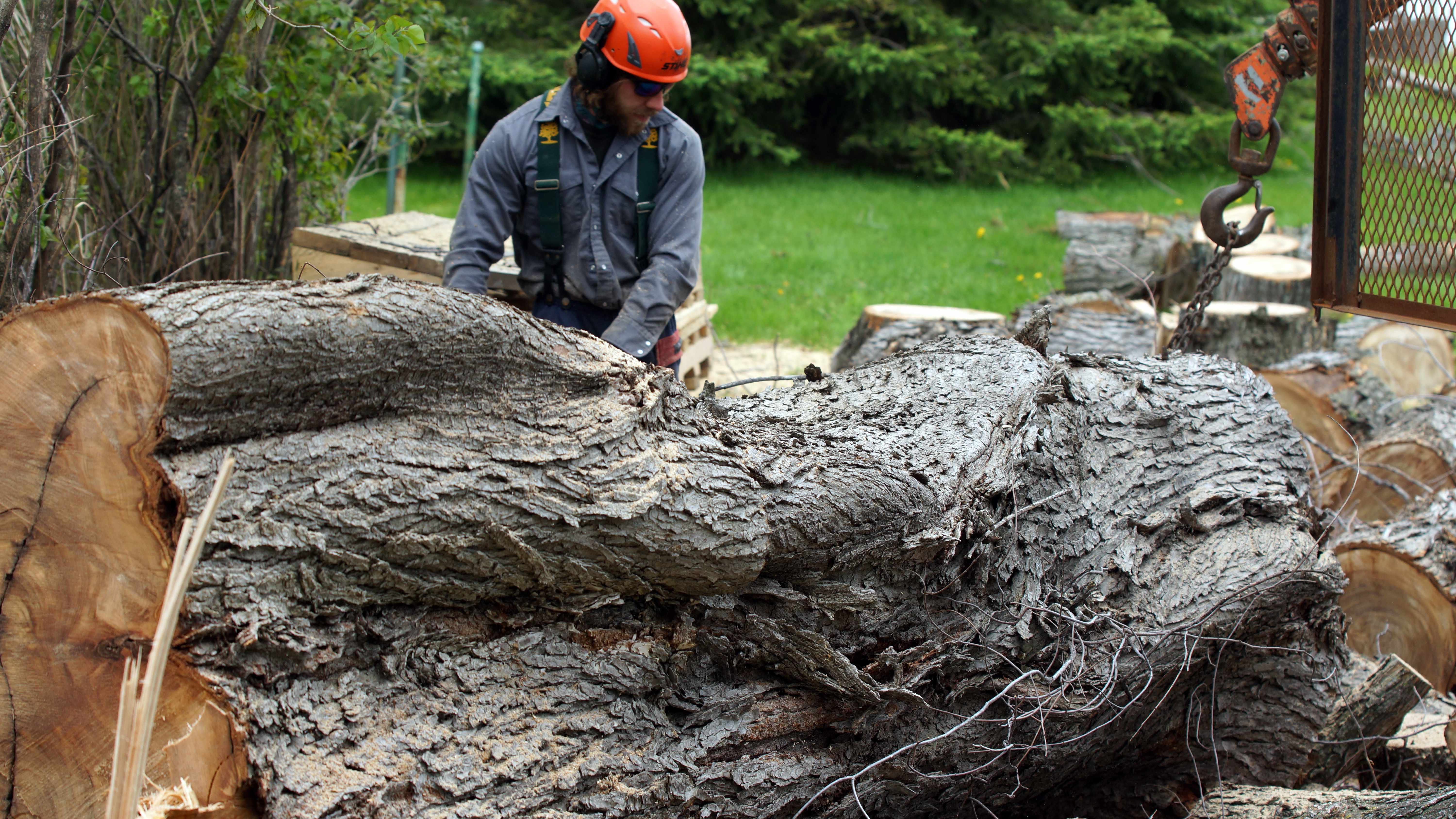 Images les Arboriculteurs du lac