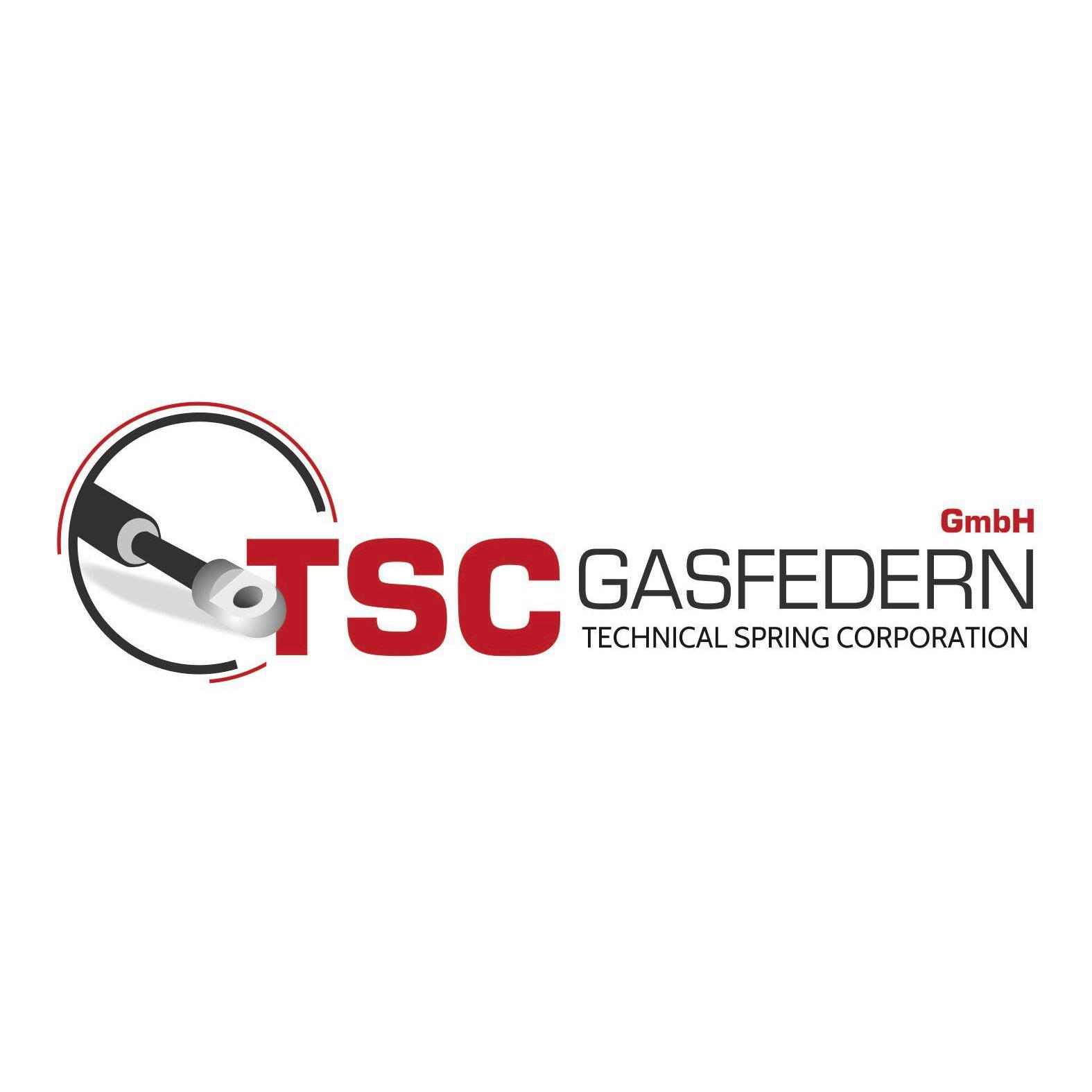 Logo TSC Gasfedern GmbH