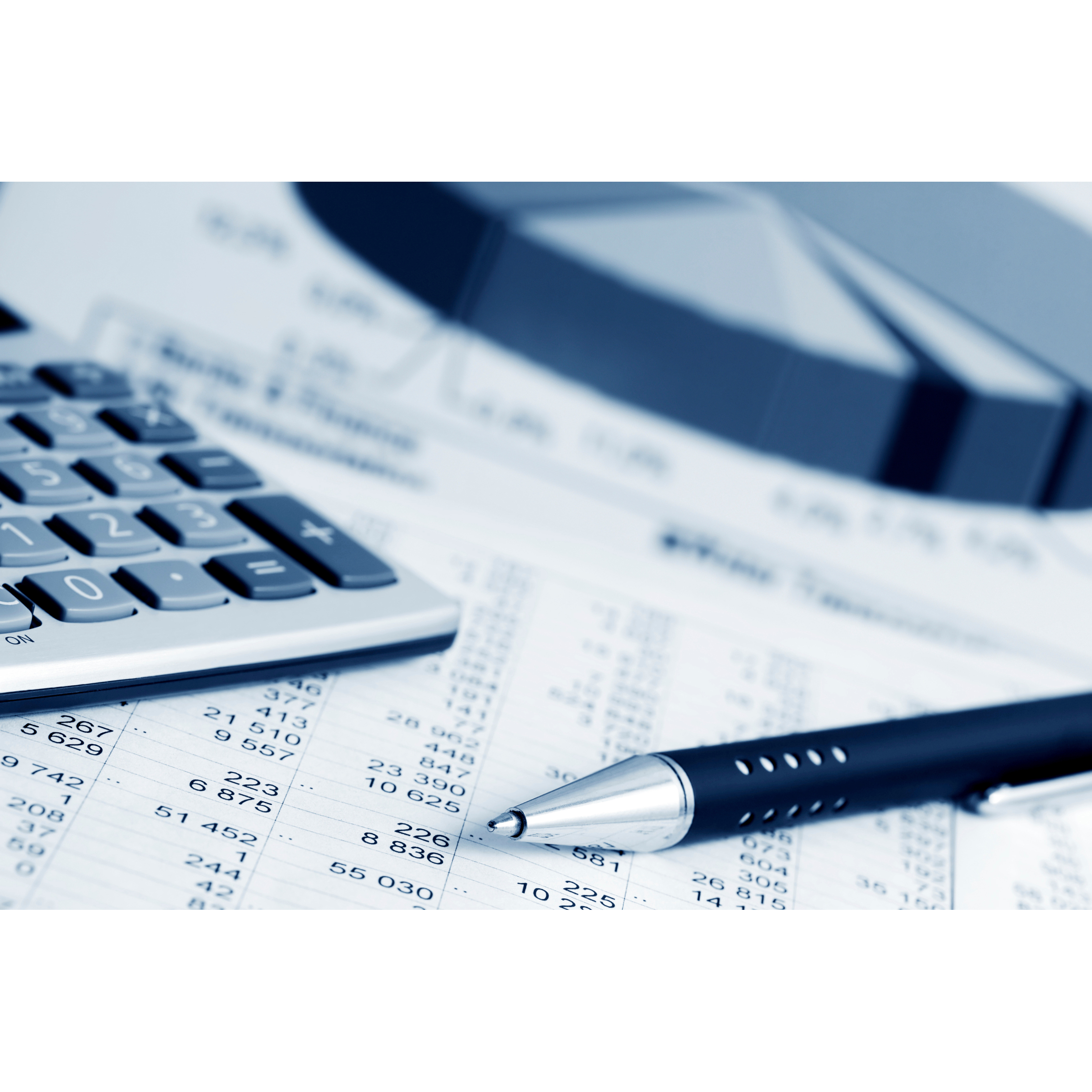 Master Tax Advisor, LLC