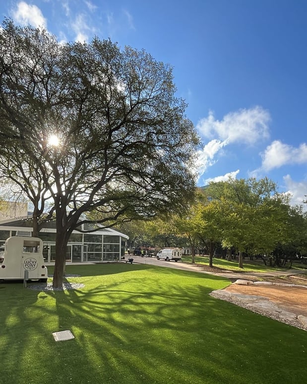 Images Waterloo Turf Austin