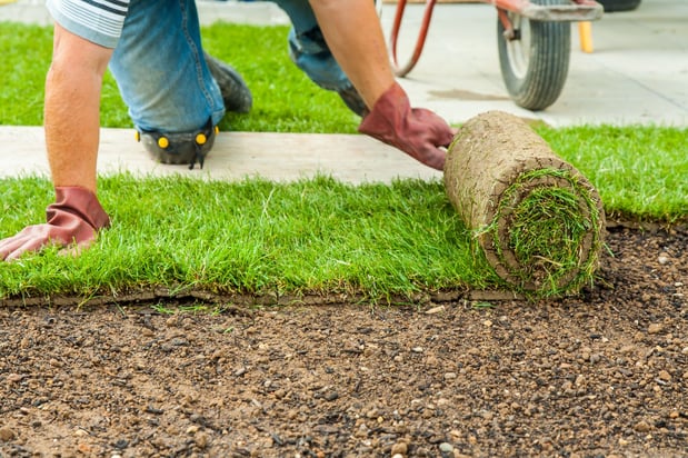 Images Lopez Tree Services and Landscaping