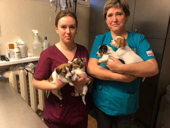 Veterinarinė pagalba Jonavoje