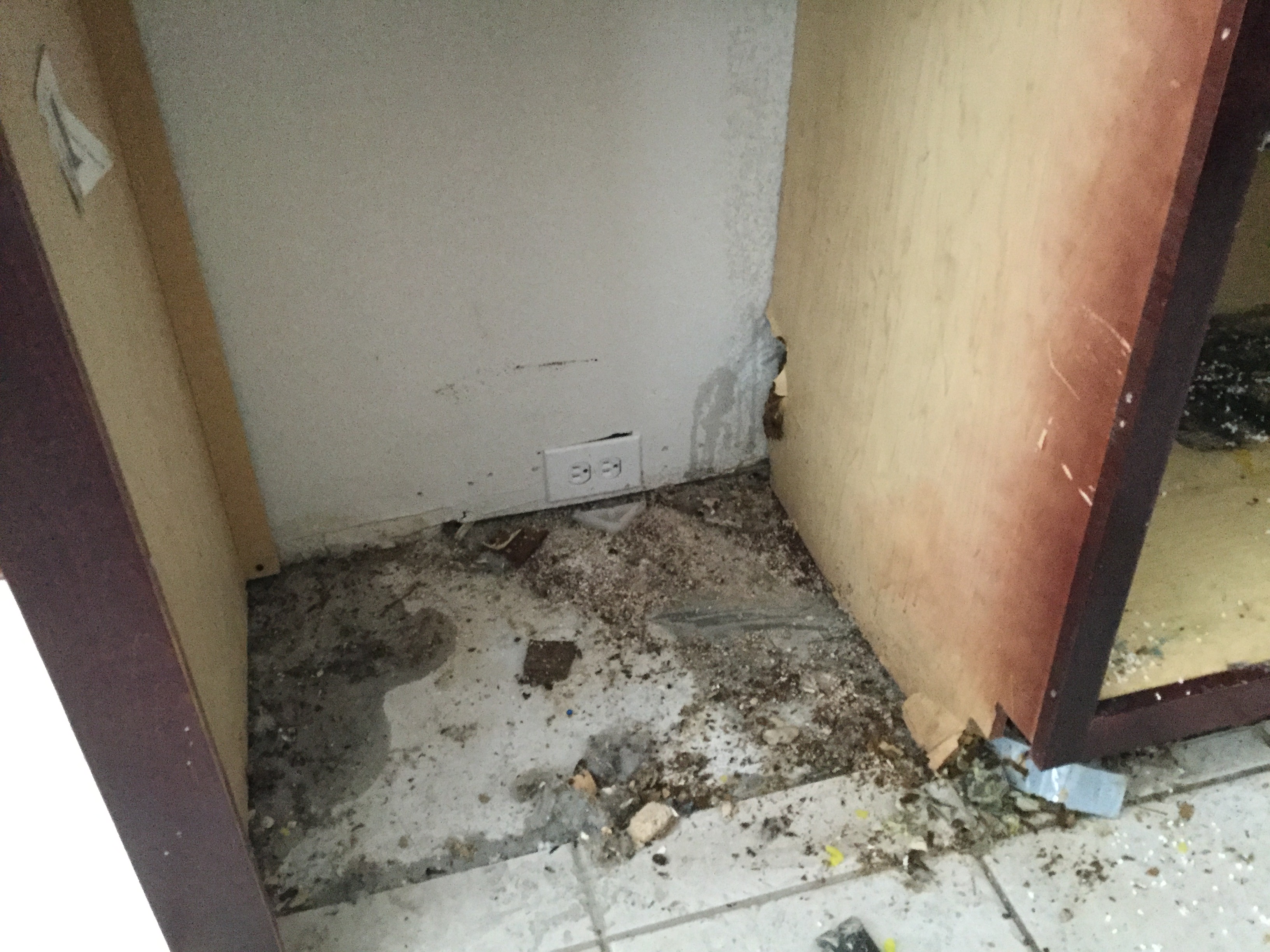 Can you spot the mold? SERVPRO can and we can help! Call us anytime, we are always on standby.