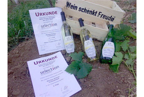 Bilder Weinbau Scherer