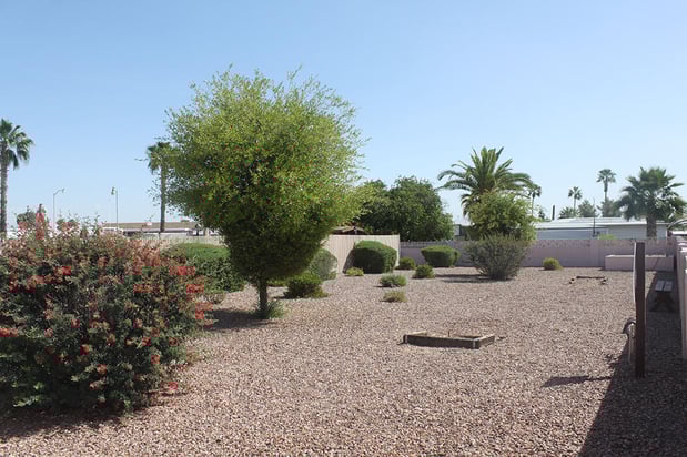 Images Whispering Palms