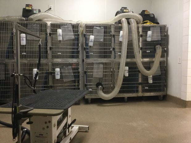 Images Petco