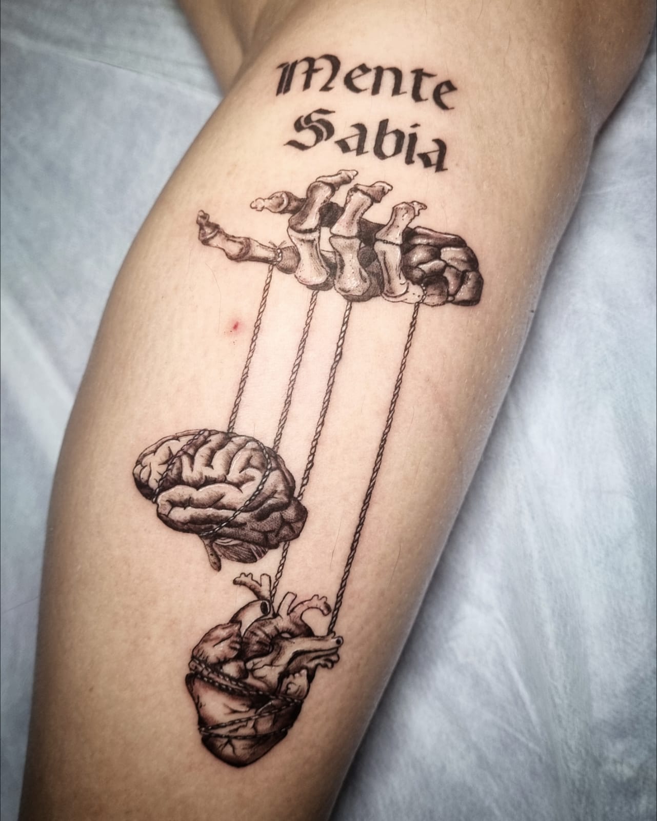 Images Noctaris Tattoo