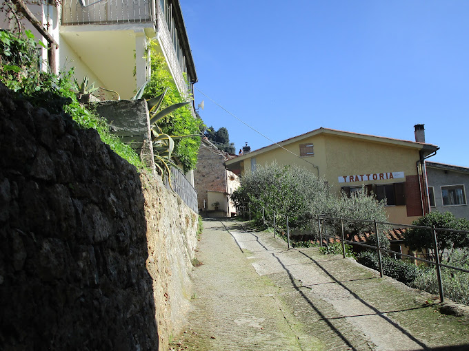 Images Trattoria da Luciano Camaiore