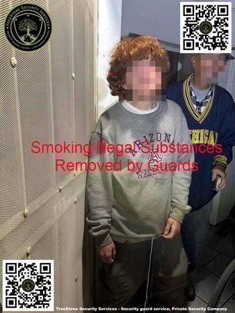 Images TreeStone Security Services