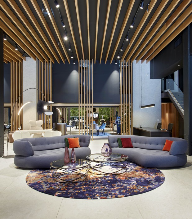 Images Roche Bobois