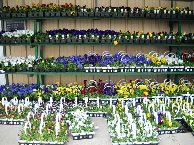 Images Bethel Feed & Supply Pet & Garden Center