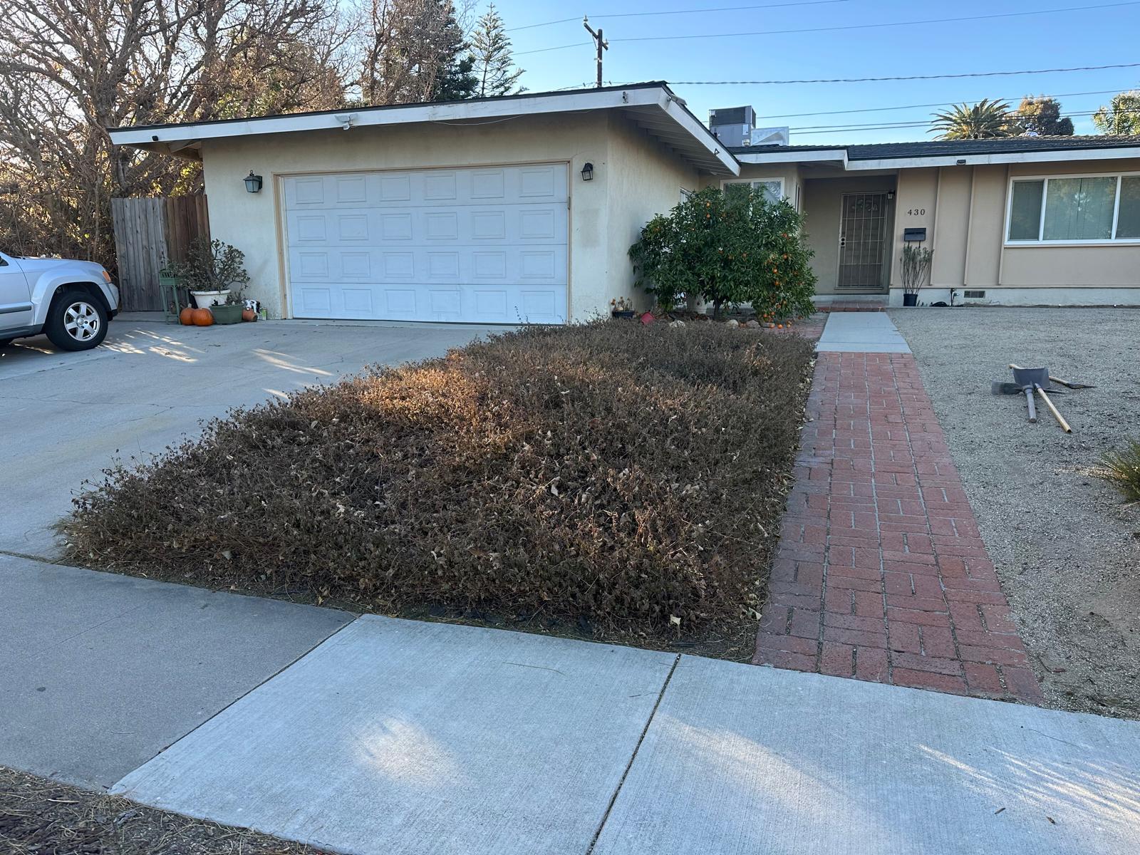 Francisco ToC Landscaping-  Lawn Maintenance