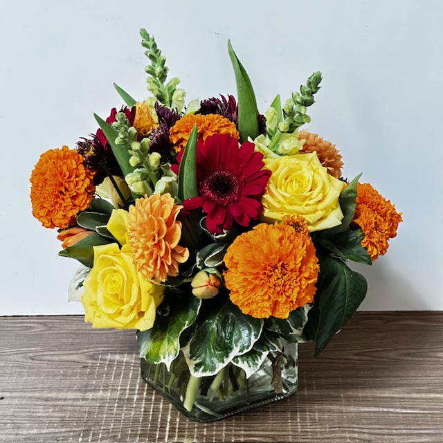 Images Jane's Roses & Flowers