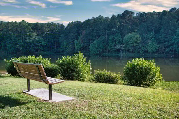 Images Camden Lake Pine Apartments