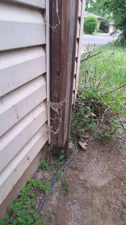 Images Semper Valeo Pest Management