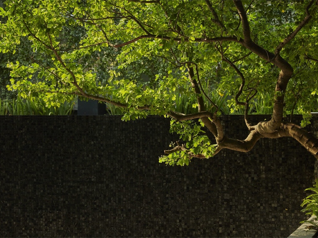 Homm Sukhumvit 34 Bangkok