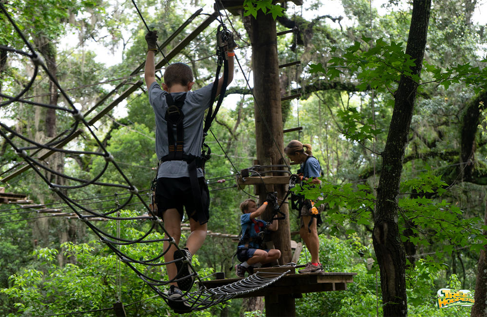 Cross challenge bridges at TreeHoppers TreeHoppers Aerial Adventure Park Dade City (813)381-5400