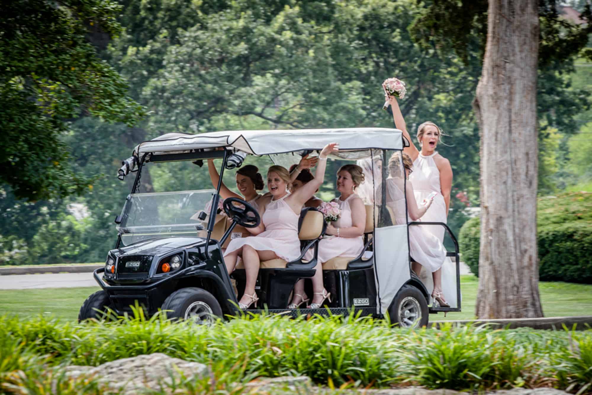 Shelly Dawn Images Logo