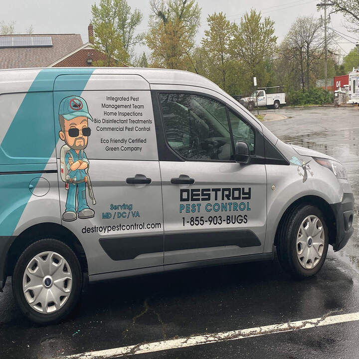 Images Destroy Pest Control