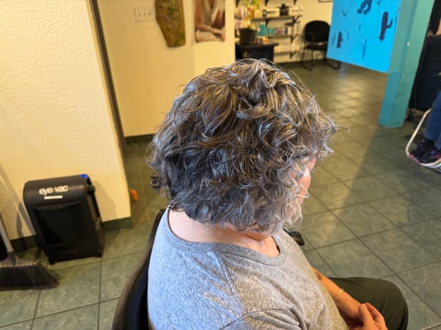 Images Lady Godiva Hair Studio