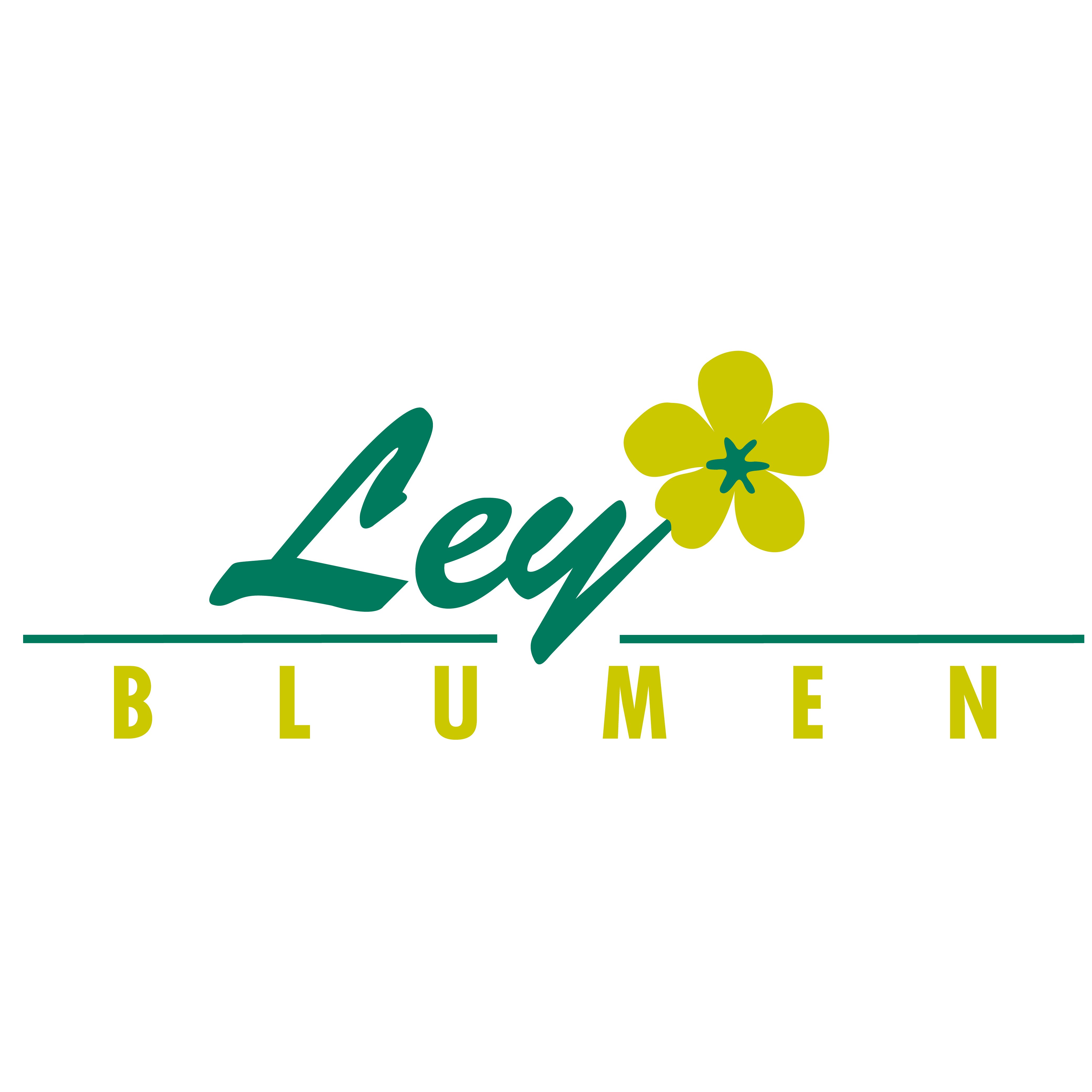 Blumen Ley in Luzern