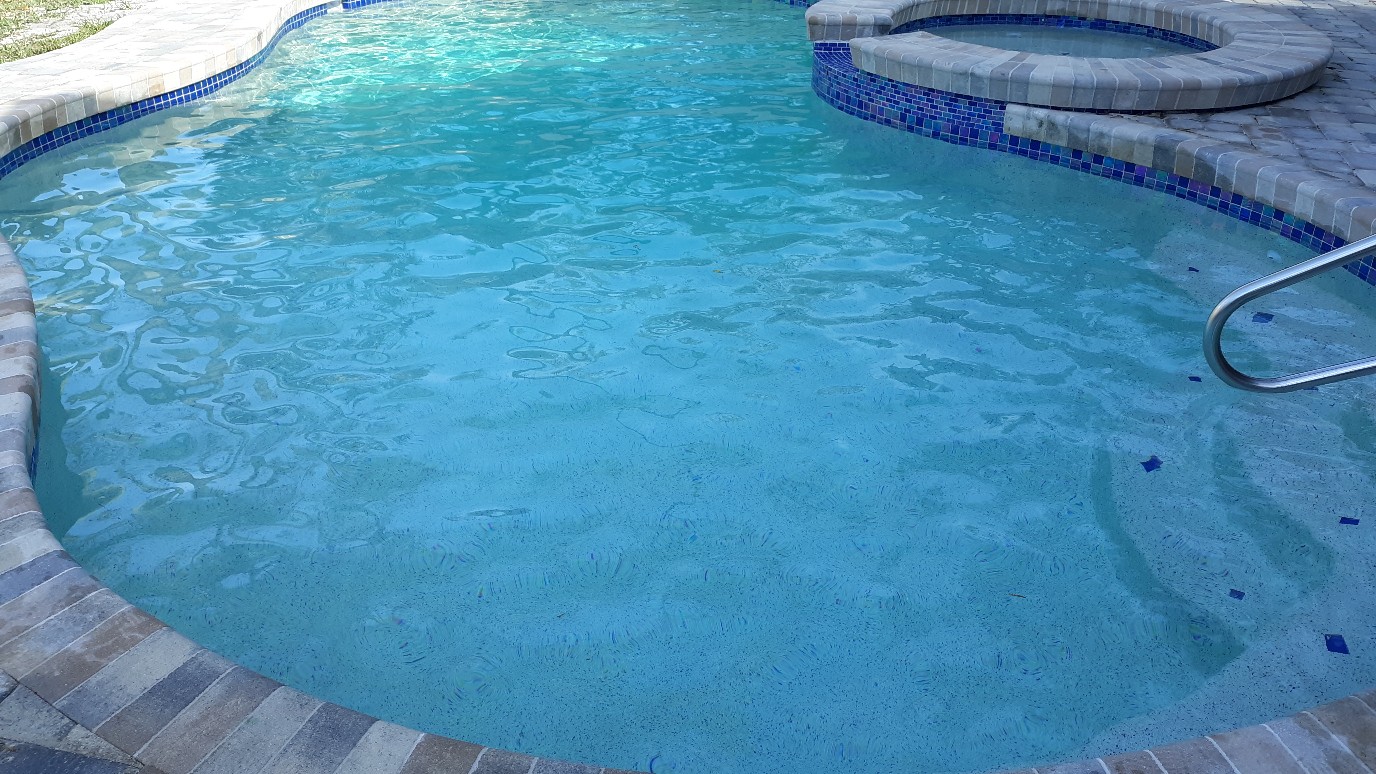 Residential swimming pool with clear turquoise water, curved steps, decorative blue tile, and surrounding paver decking.