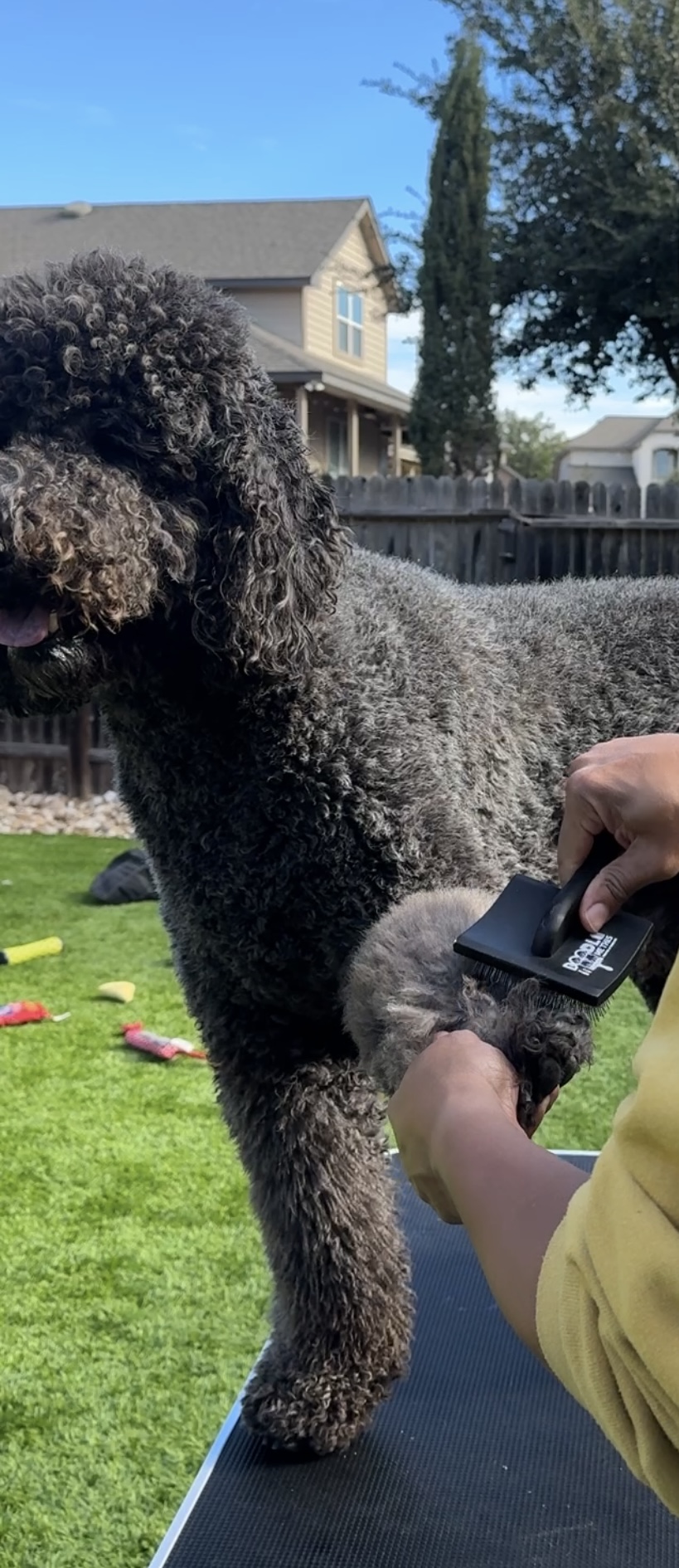 Doodle Me This Kingston and Hamilton LLC Image