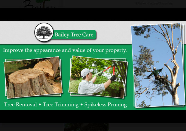 Images Bailey Tree Care