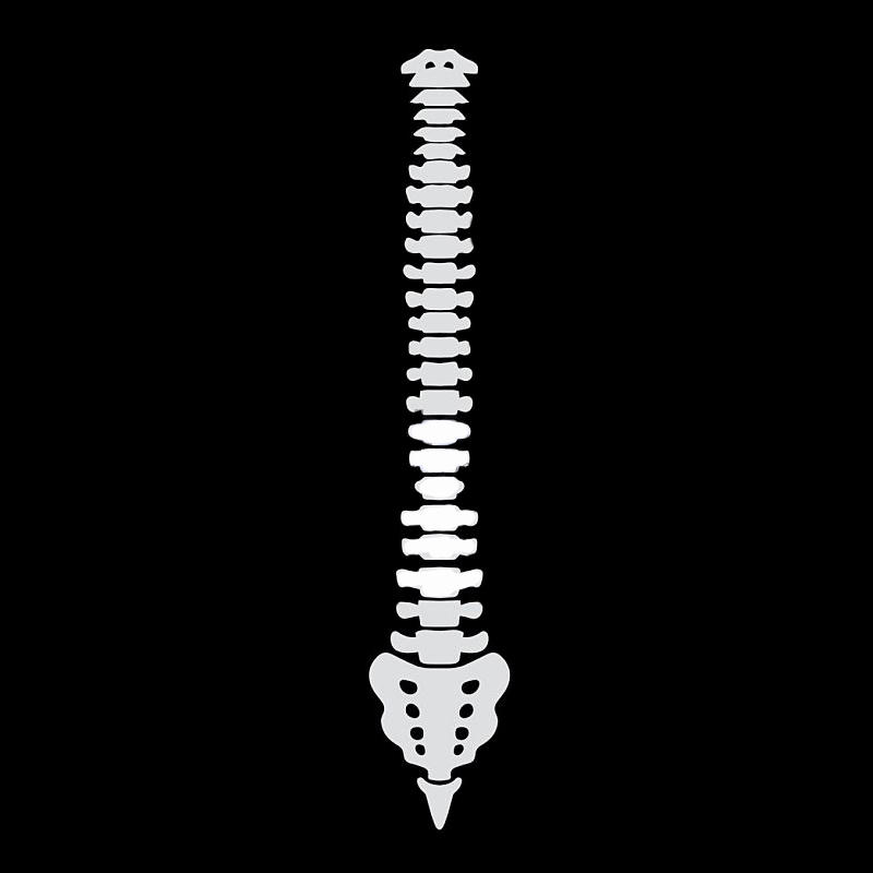 Physio FDR Sport Logo