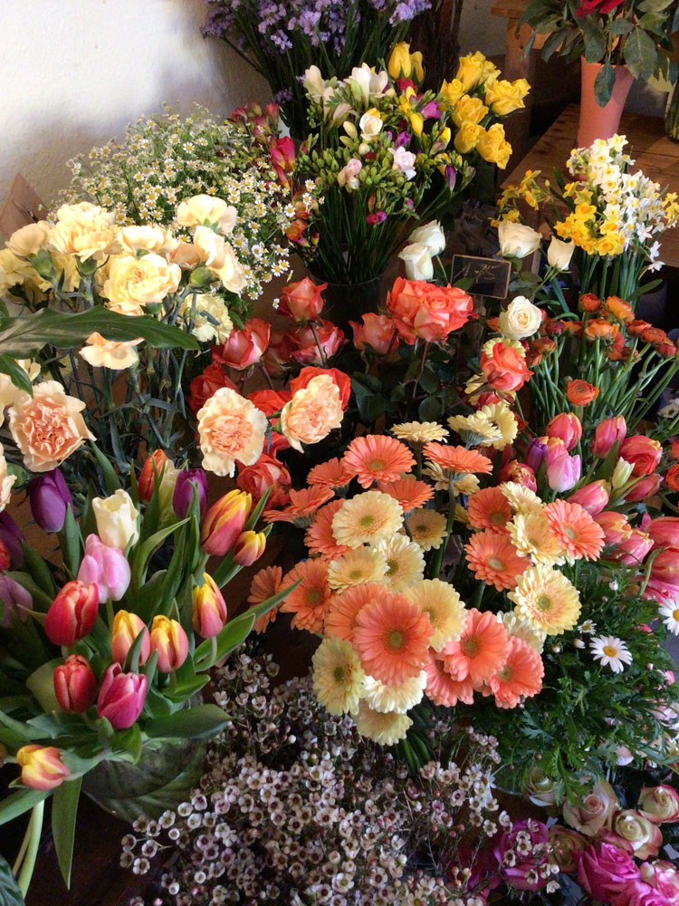 Bilder Blumen "WildWuchs" | Floristik für jeden Anlass