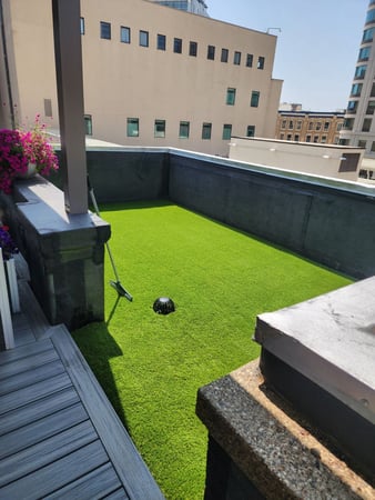 Images Purchase Green Artificial Grass