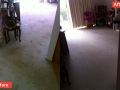 Stainbusters carpet cleaning and Pest Control Central West Mitchell 0458 287 078