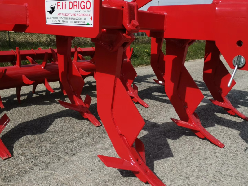 Images F.lli Drigo Snc