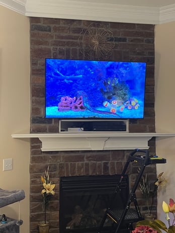 Images Bullitt Versa-Tech