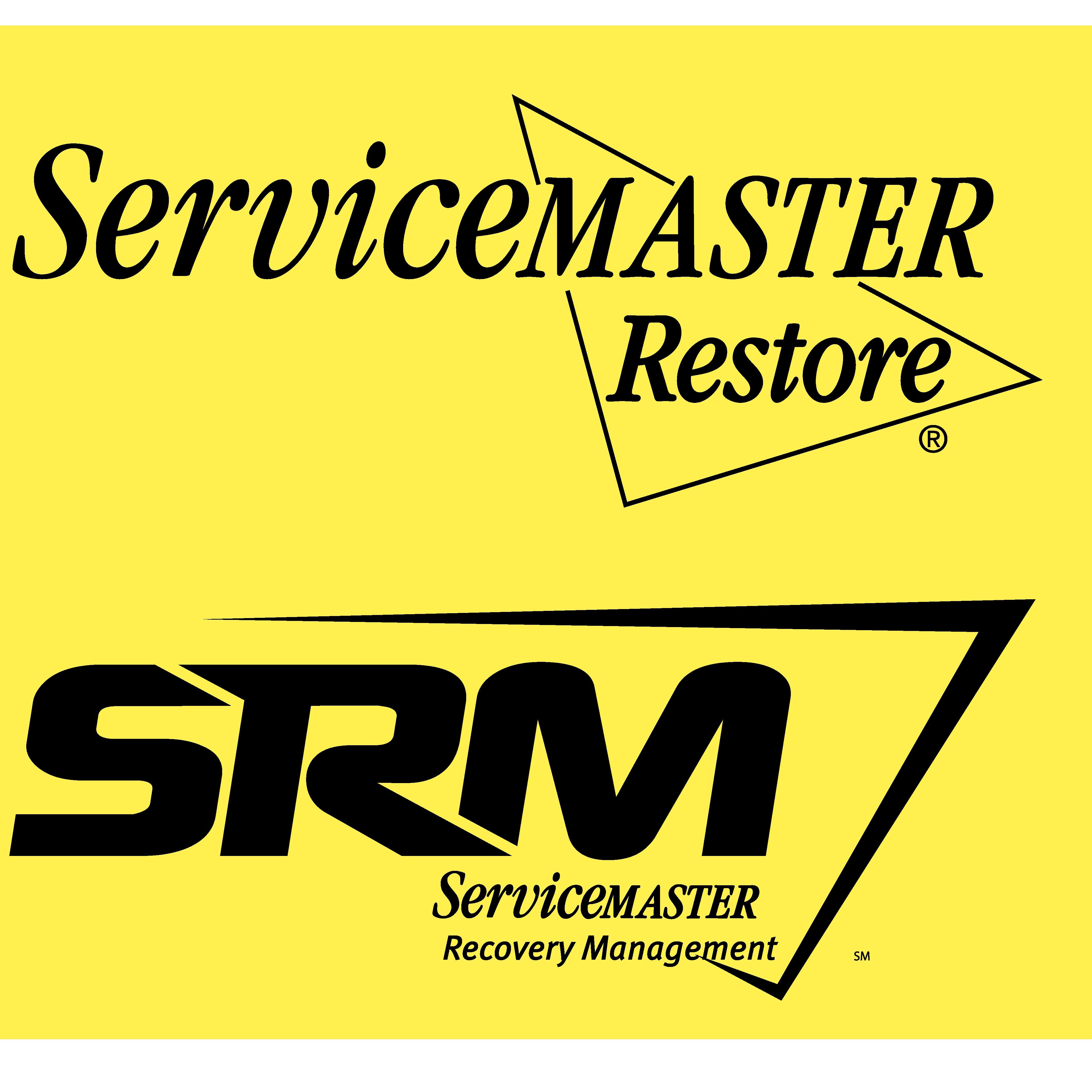 ServiceMaster DSI