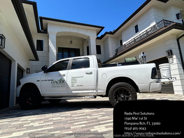 Images Radix Pest Solutions