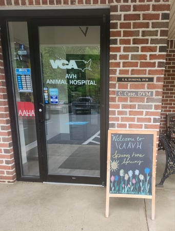 Images VCA AVH Animal Hospital