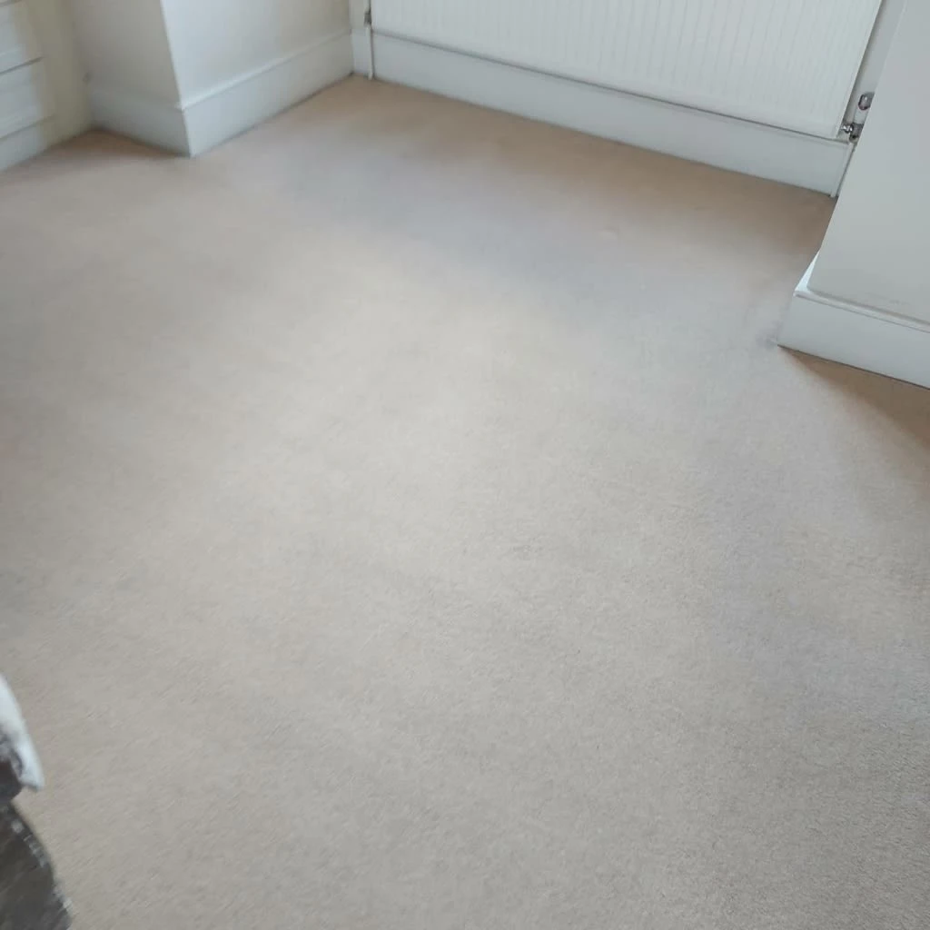 Images Titanium Cleaning