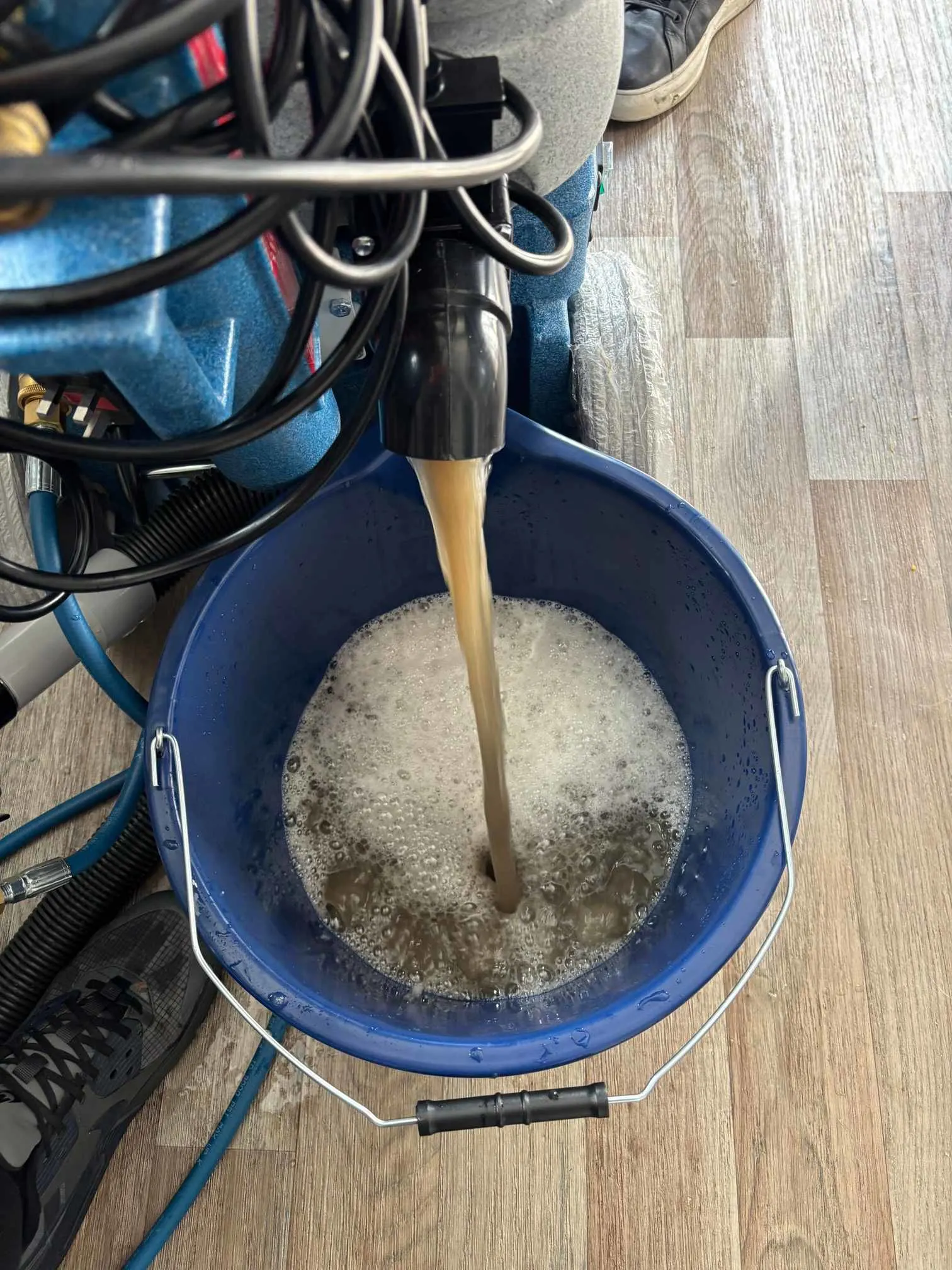 Images Carpet Care NE