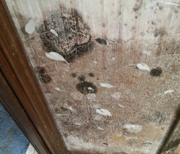 Residential Mold Damage, not only is it unsightly but it's potentially dangerous to breathe in as well. If you have a part of your home that has some mold or maybe you can find any but it smells like you might, give us a call and let us take care of it for you. Not only will it look better, but it'll smell better too! Don't let mold get out of control!