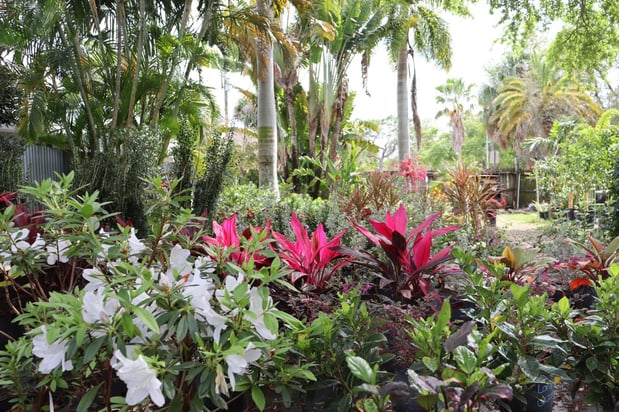 Images Terra Nova Nursery & Gardens