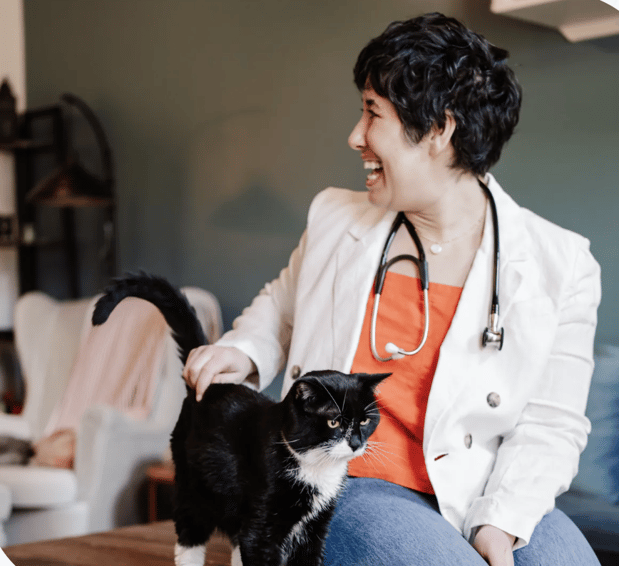 Images Calico Veterinary NYC